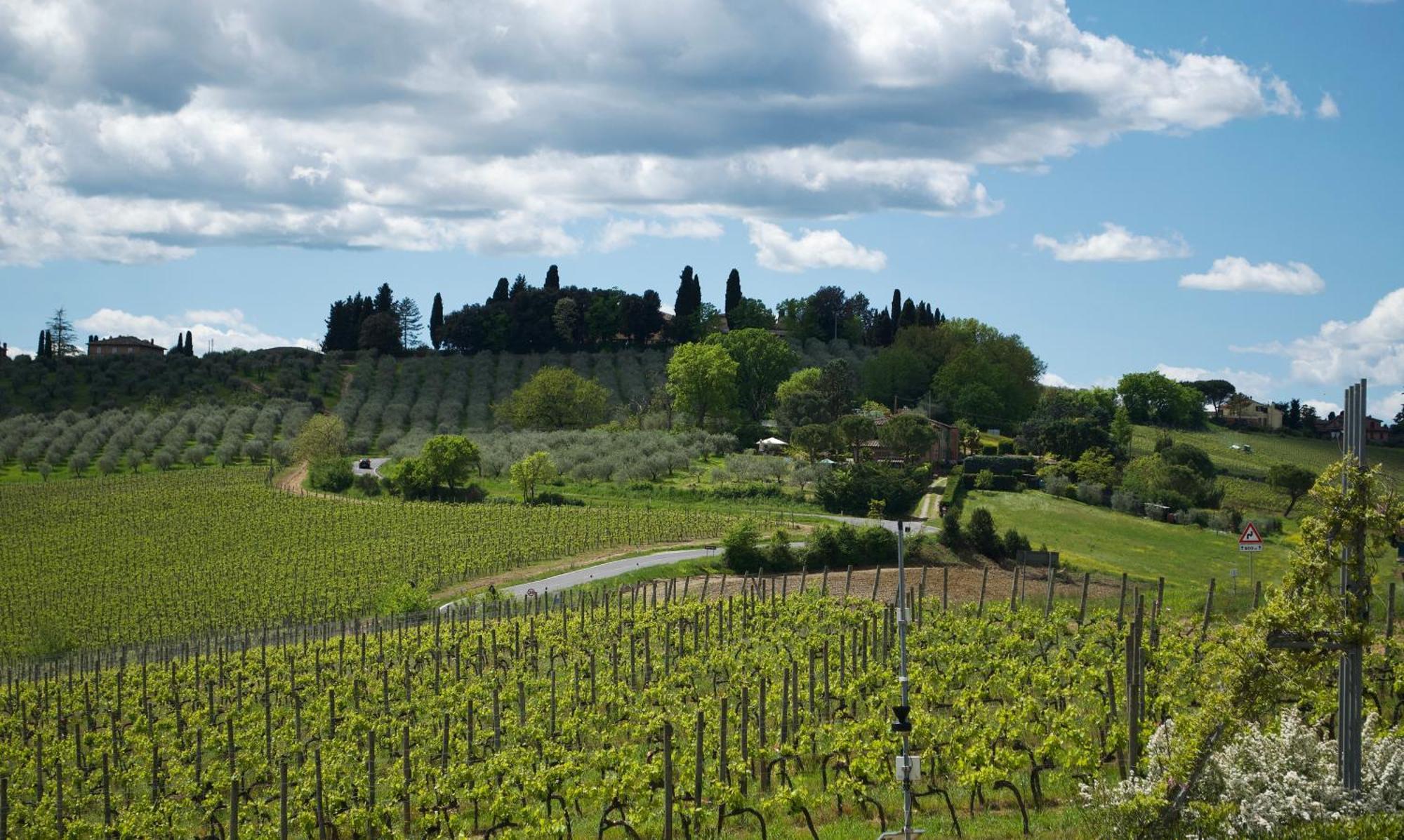 Villa Il Castagno Wine & Resort Siena Exteriör bild